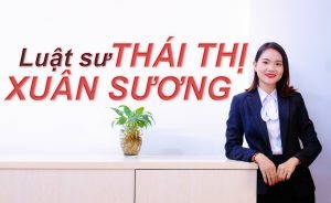 Luật sư hỗ trợ tư vấn pháp lý
