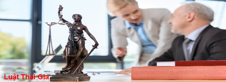 luat-su-tranh-tung-hinh-su